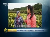 生财有道 《生财有道》 20170308 话说获得感系列——安徽东至：走进百姓话获得