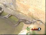 生财有道 生财有道 2010-12-24