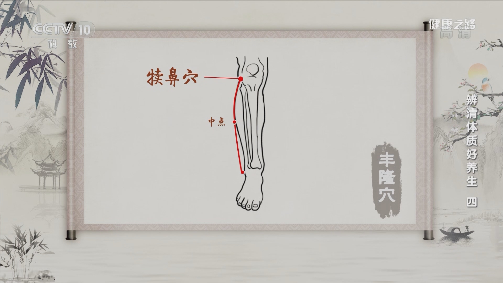 健康之路 《健康之路》 20220211 辨清体质好养生（四）