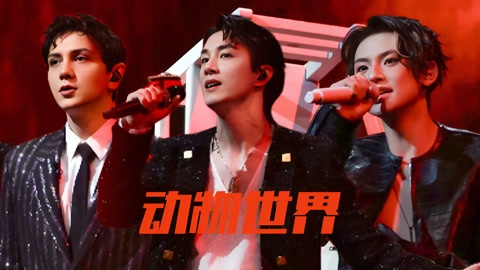 我们的歌 第六季 艾热李承铉小鬼演绎《动物世界》 狠狠共情了