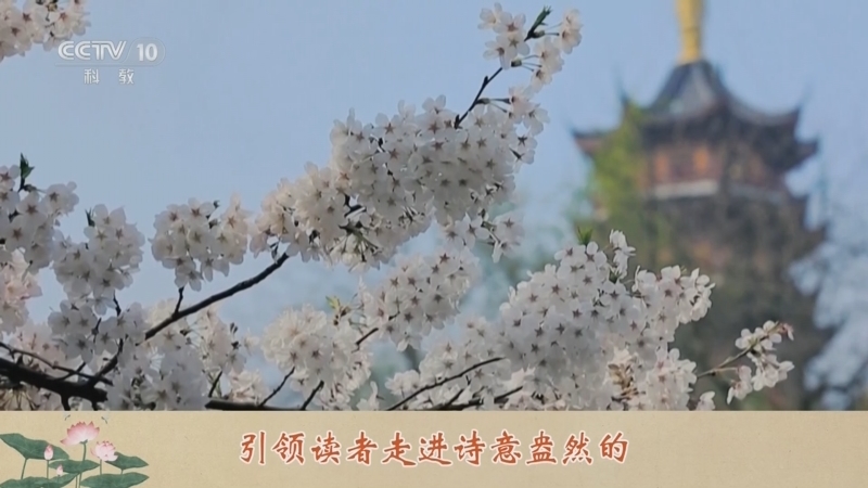 百家讲坛 《百家讲坛》 20241202 诗词大先生 6 诗教绵绵传嗣响