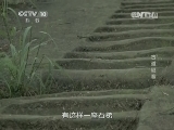 地理中国 《地理中国》 20141206 古道谜音
