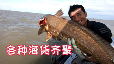 岛民阿杰玩海钓 阿杰第一次放排钩居然捅了鳗鱼窝，850枚鱼钩上的鱼装满活鱼仓