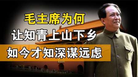 红墙往事 毛主席为何号召知识青年上山下乡？时至今日，才看明白伟人智慧