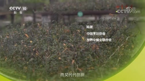 味道 《味道》 20180908 四季味道（70） 又进补又好吃的味道有哪些？