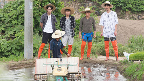 三时三餐 高敞篇 第1季 [第2期]罗PD忽悠一家四口下田插秧