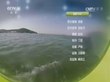 我爱发明 《我爱发明》 20170627 巧灭杀人蜂