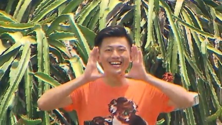 世界上最贵的大象屎咖啡