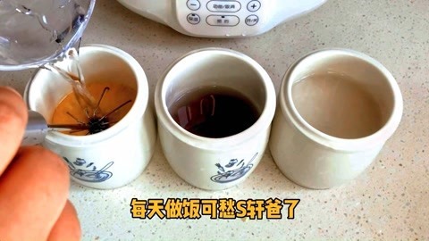 梁小轩和轩妈试吃各种美食 一个电炖锅搞定所有主食