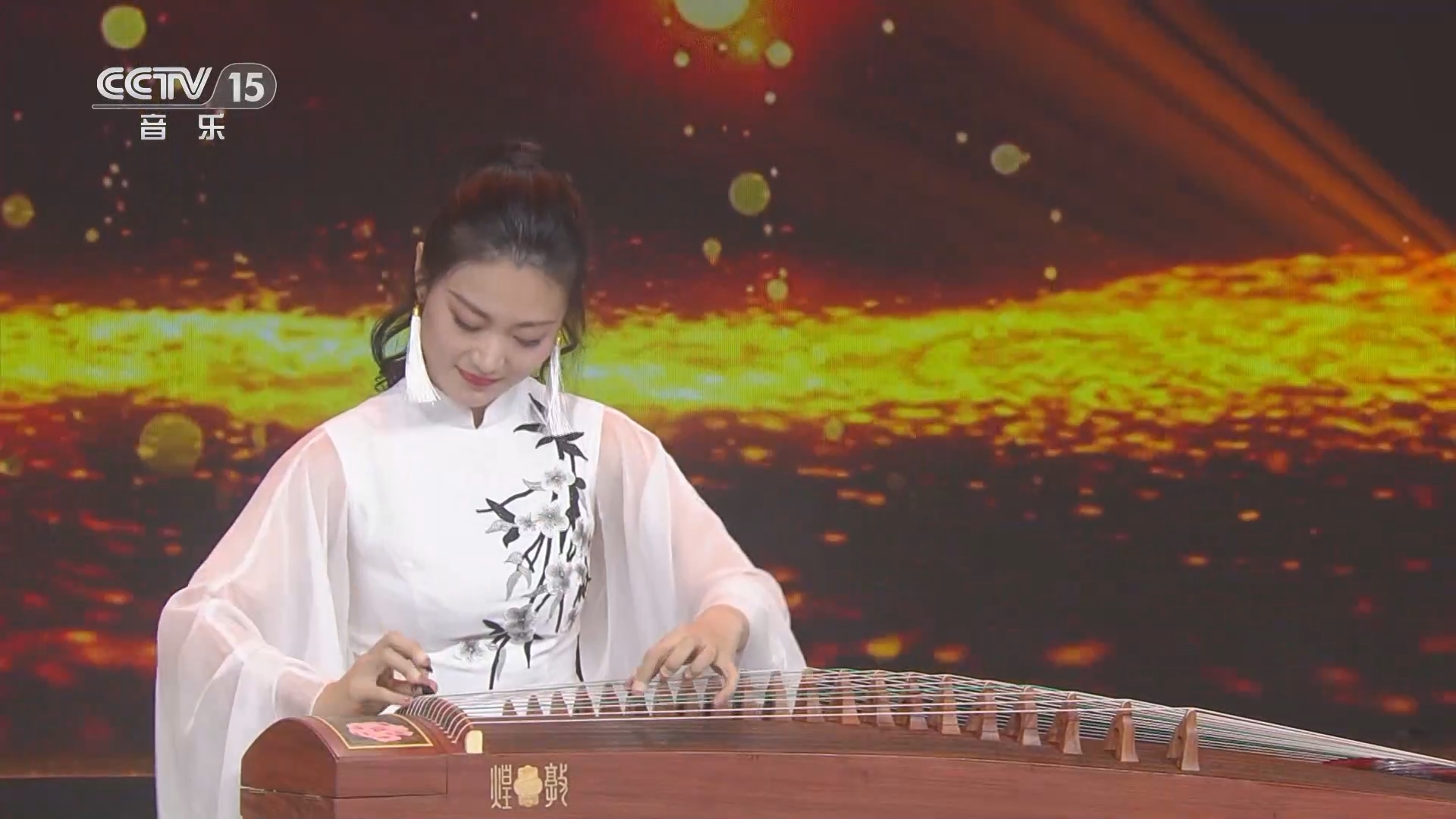 风华国乐 《风华国乐》 20240602