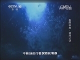 地理中国 《地理中国》 20131218 极限科考-蓝洞之谜