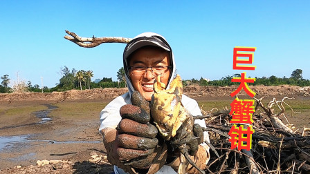 思乡渔夫 废弃养殖场被大螃蟹霸占，拳头大的蟹钳太过瘾，小伙被夹得嗷嗷叫