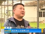 新闻午报-山西 《新闻午报-山西》 20180503