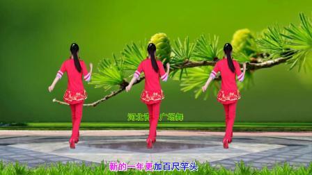 广场舞《今年又是好兆头》32步演示分解