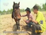 远方的家 《远方的家》特别节目 第13集 在摸爬滚打中成长 20160809