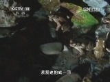 地理中国 《地理中国》 20140119 探秘无量山 （下）