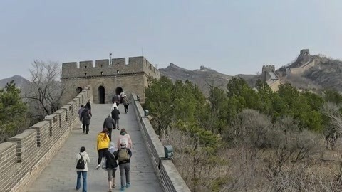 1818黄金眼 1818黄金眼20200422