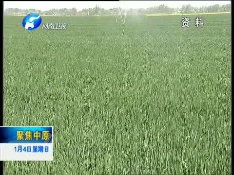 聚焦中原 《聚焦中原》 20150104 职业农民是怎样炼成的？