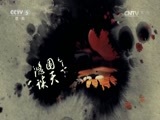 棋牌乐 [棋牌乐]20161116 新奥杯世界围棋公开赛32强战