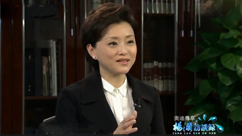 杨澜访谈录 李显龙谈反腐