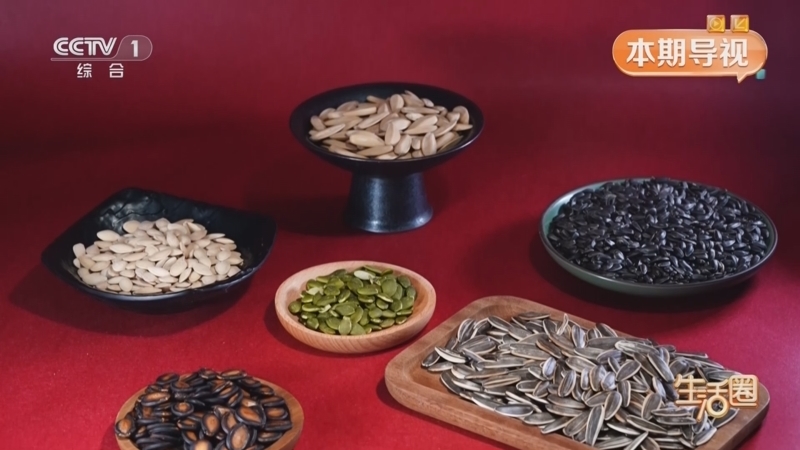 《生活圈》 20260214 中华饮膳 瓜子里的养生门道