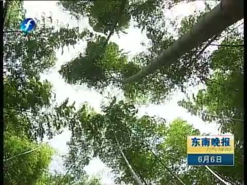 东南晚报 《东南晚报》 20140606
