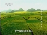 地理中国 《地理中国》 20131021 怪洞迷踪 “螺丝田”的秘密