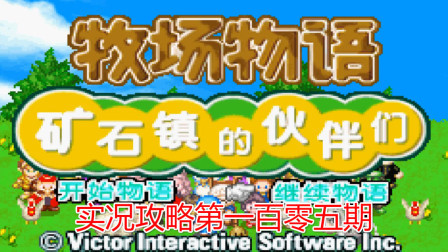 《GBA新牧场物语》攻略第一百零五期