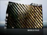 动物世界 动物世界 2011年 第43期