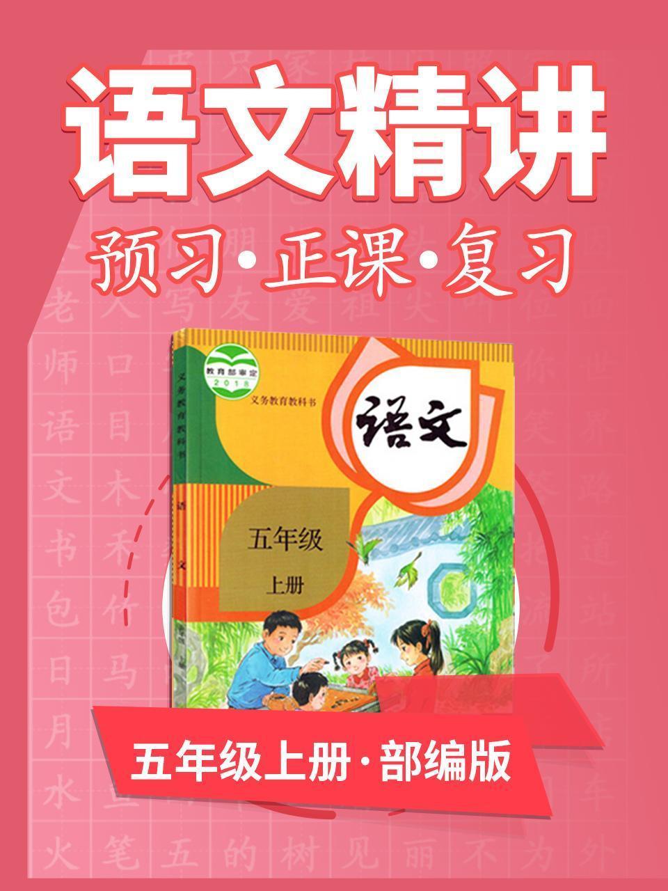 部编版语文  五年级上册  语文精讲