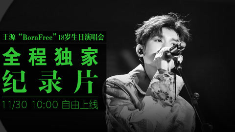 王源生日演唱会全程纪录片