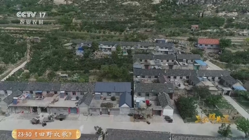 三农群英汇 《三农群英汇》 20260808 一腔热忱建新村