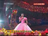 风华国乐 风华国乐 2010年 第122期