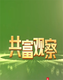 共富观察 海报