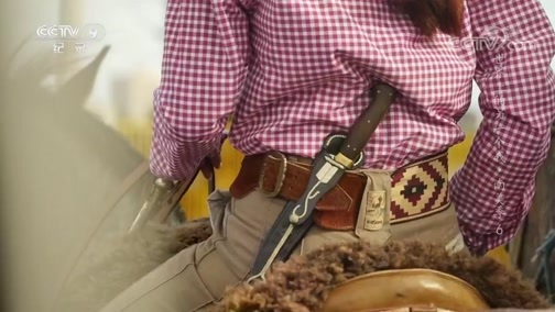 《世界上的另一个我·南美季》 第六集 那一场马粪雨