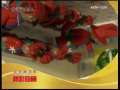 动漫世界 动漫世界 2009年 第181期