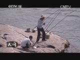 天网 《天网》 20140617 纹身玫瑰