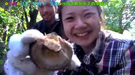 小梦帮倒忙Z 日本