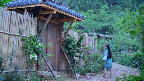 李子柒古香古食 黄瓜的一生呀~