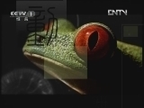 动物世界 《动物世界》 20120716