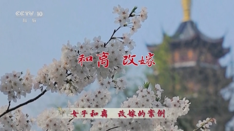 百家讲坛 《百家讲坛》 20240219 大宋梦华录（第一部） 10 儿婚女嫁谁家事