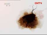 生财有道 《生财有道》 20110901 大学生村官的狗狗乐园