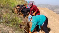 《我的美丽乡村》 20210115 陕北高原的承诺