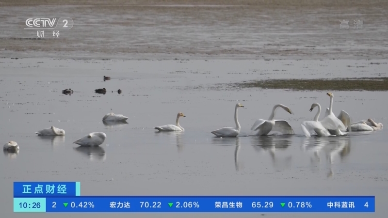 正点财经 《正点财经》 20221020 10:00
