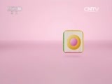 小小智慧树 《小小智慧树》 20160707