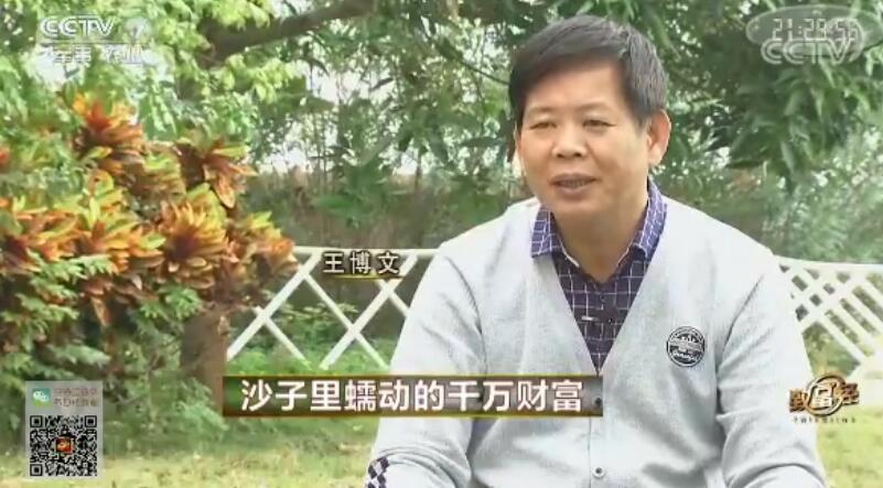 致富经 [致富经]沙子里蠕动的千万财富 20180117