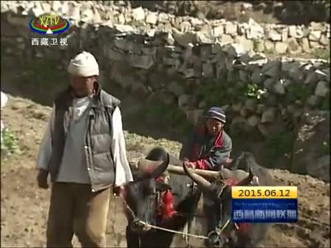 西藏新闻联播 《西藏新闻联播》 20150612