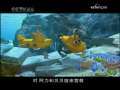 动漫世界 《潜水的奥力》海底纪录片