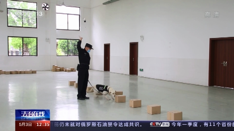 法治在线 《法治在线》 20220503