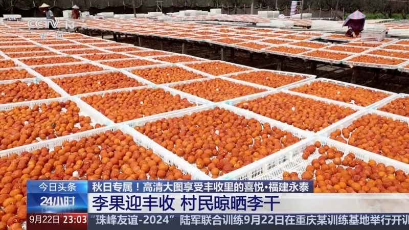 24小时 《24小时》 20240922